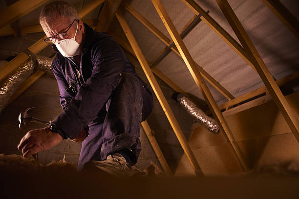 Best Specialty Insulation in Homosassa Springs, FL